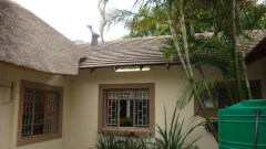 south africa packages